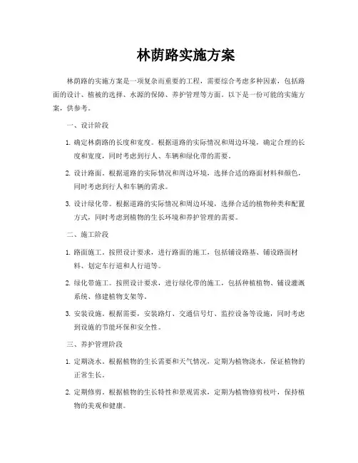 林荫路实施方案