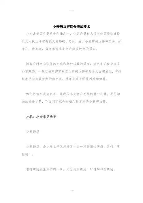 小麦病虫害综合防治技术
