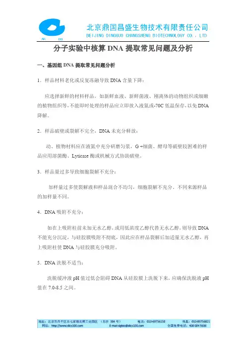分子实验中核算DNA提取常见问题及分析