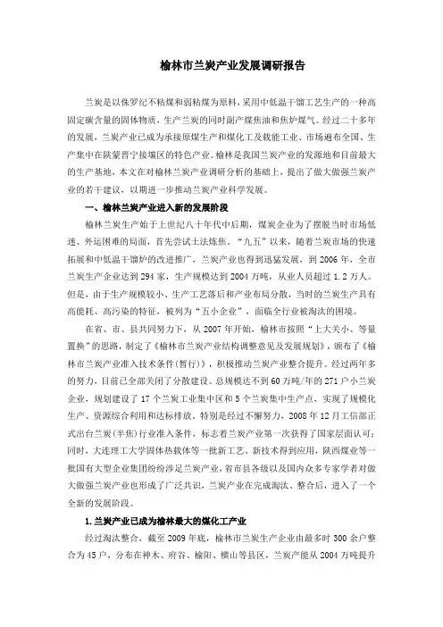 榆林市兰炭产业发展调研报告
