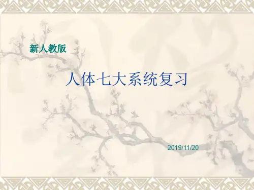 初中生物  人体七大系统复习 人教版精品课件