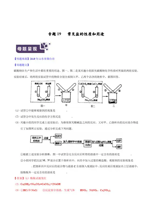 37.中考化学专题19  常见盐的性质和用途 (解析版)