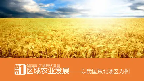 高三地理一轮复习 044  区域农业发展