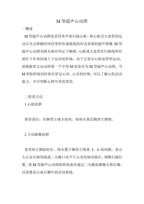 M型超声心动图