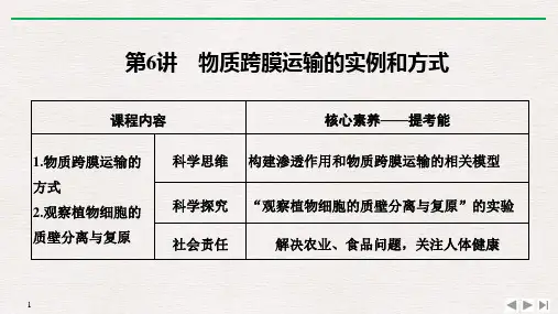 新高考2020生物选考总复习第6讲 物质跨膜运输的实例和方式课件