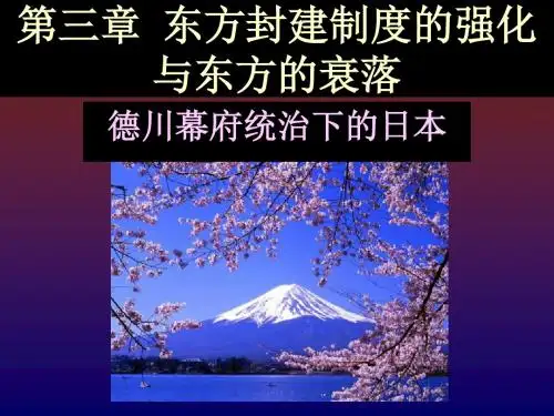 世界近代史之德川幕府统治下的日本