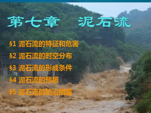 水灾害 7 泥石流