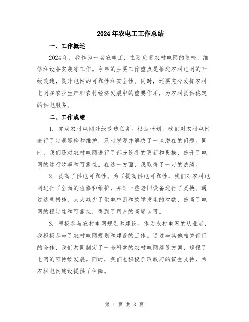 2024年农电工工作总结