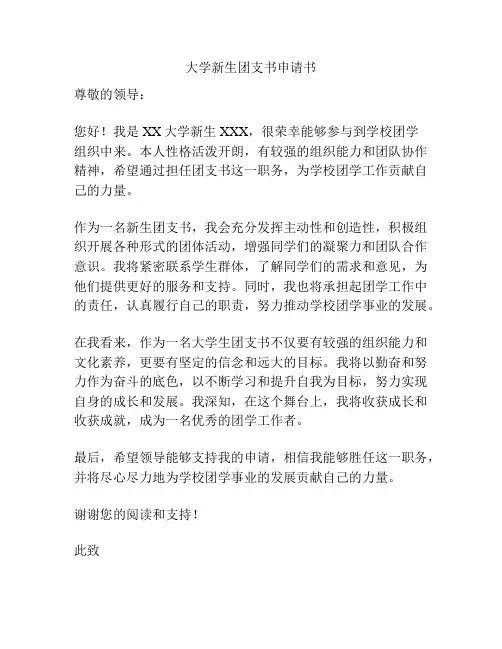 大学新生团支书申请书