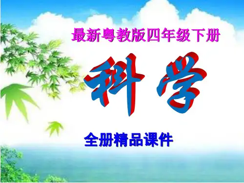 最新粤教版四年级下册科学全册课件【精品】