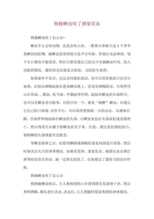 狗被蜱虫咬了感染贫血
