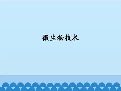 首师大版 六年级下册科学课件微生物技术(共18张PPT)