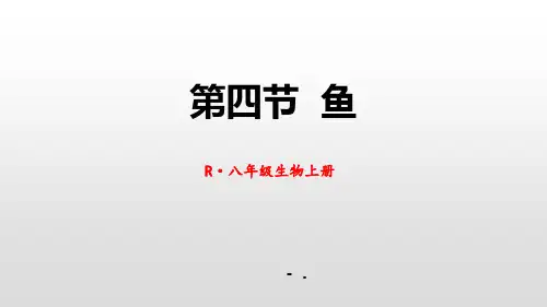 《鱼》PPT课件