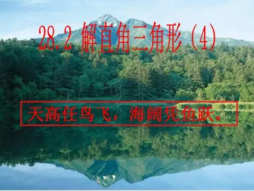 28.2.4解直角三角形(4)