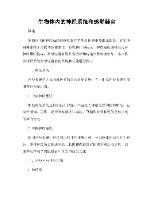 生物体内的神经系统和感觉器官