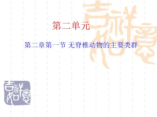 无脊椎动物的主要类群