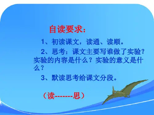 《夜晚的实验》(课件)