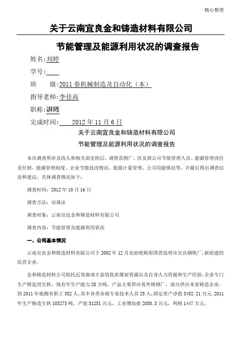 能源利用状况调查分析报告(2)稿