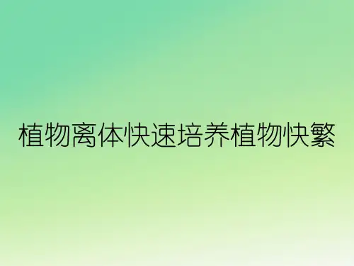 植物离体快速培养植物快繁