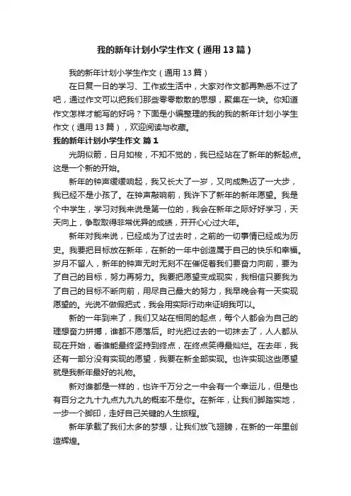 我的新年计划小学生作文（通用13篇）