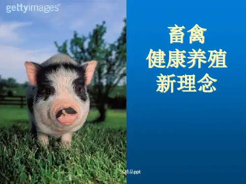 《畜禽健康养殖新理念》PPT