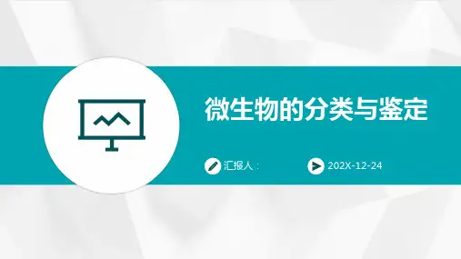微生物的分类与鉴定