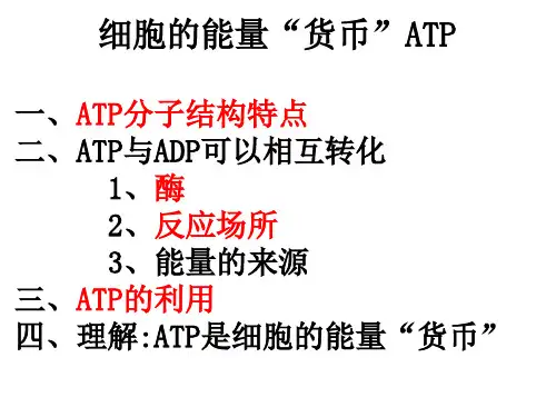 高中生物 细胞的能量“货币”ATP