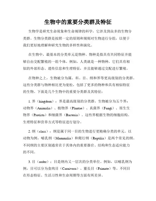生物中的重要分类群及特征