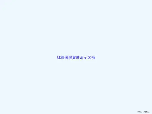 脉络膜裂囊肿演示文稿