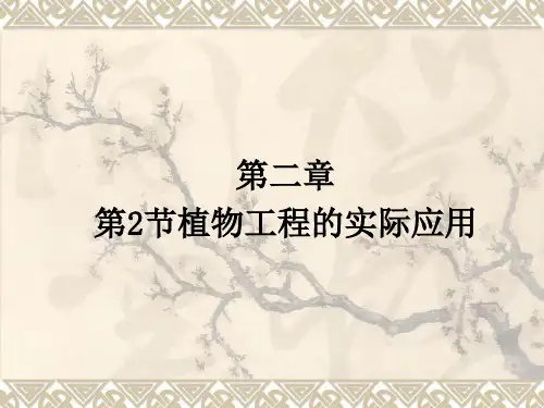 高三一轮复习生物：植物细胞工程的应用课件