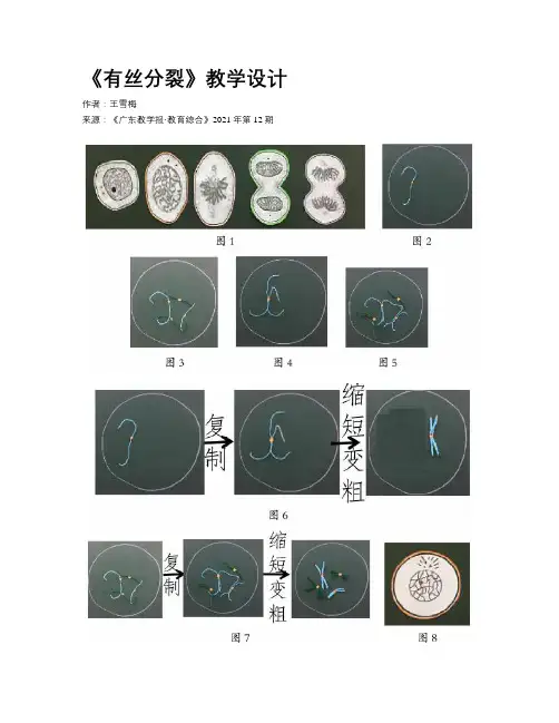 《有丝分裂》教学设计