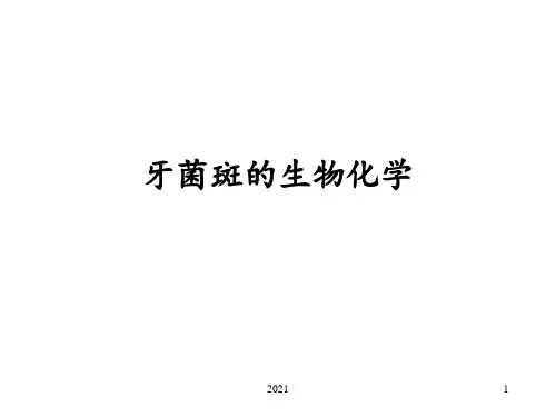 牙菌斑的生物化学PPT课件