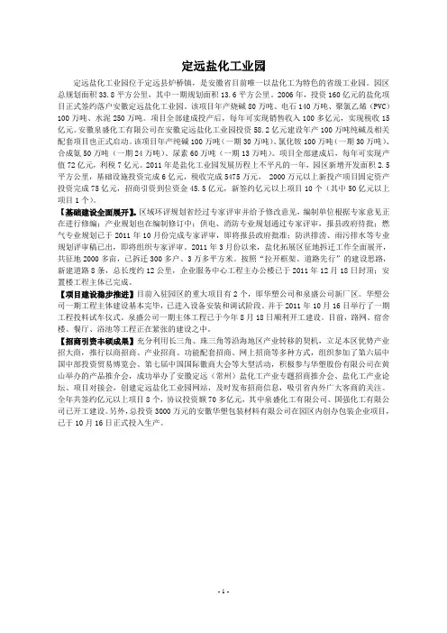 定远年鉴：盐化工业园