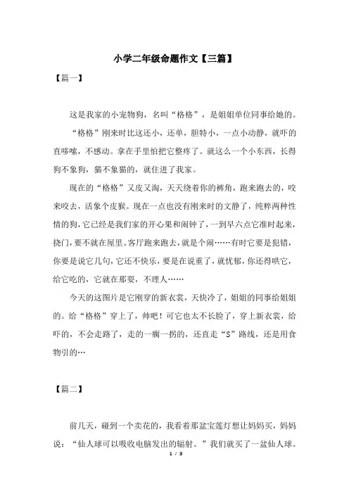 小学二年级命题作文【三篇】