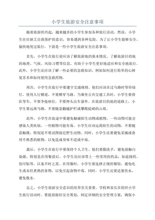 小学生旅游安全注意事项