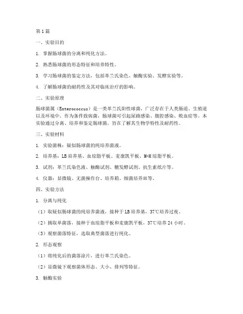 肠球菌鉴定实验报告(3篇)