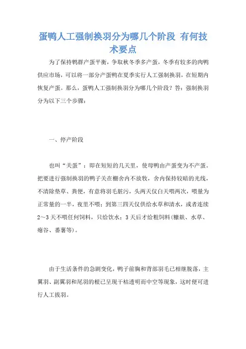 蛋鸭人工强制换羽分为哪几个阶段 有何技术要点