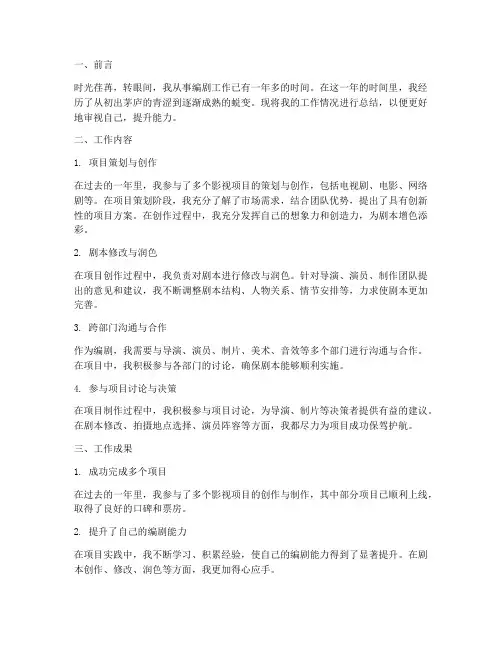 编剧个人工作总结