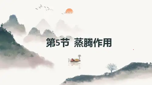 蒸腾作用ppt课件