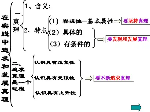 在实践中追求和发展真理 ppt课件