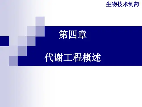 第四章 代谢工程概述