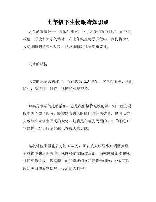 七年级下生物眼睛知识点
