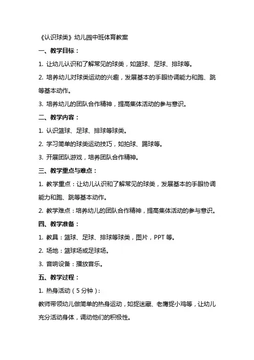 《认识球类》幼儿园中班体育教案