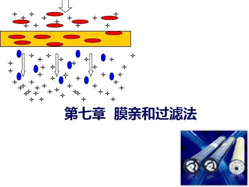 膜的亲和过滤