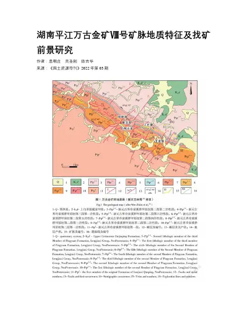 湖南平江万古金矿Ⅷ号矿脉地质特征及找矿前景研究