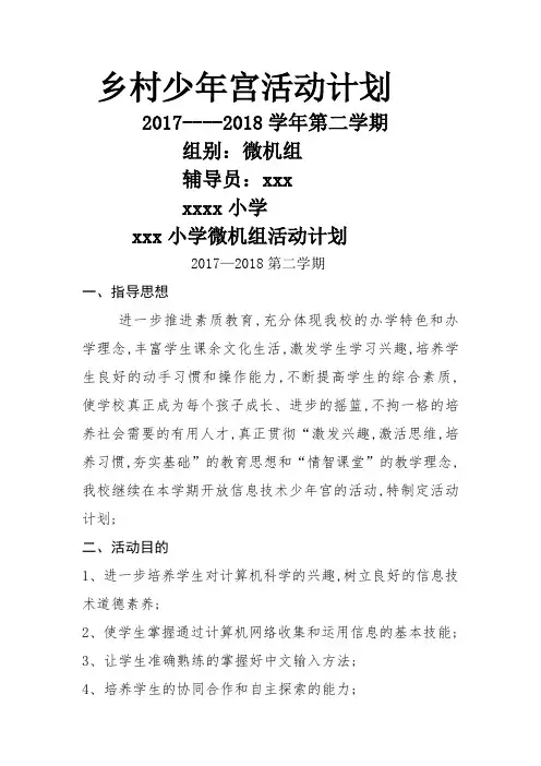 乡村少年宫微机组活动计划