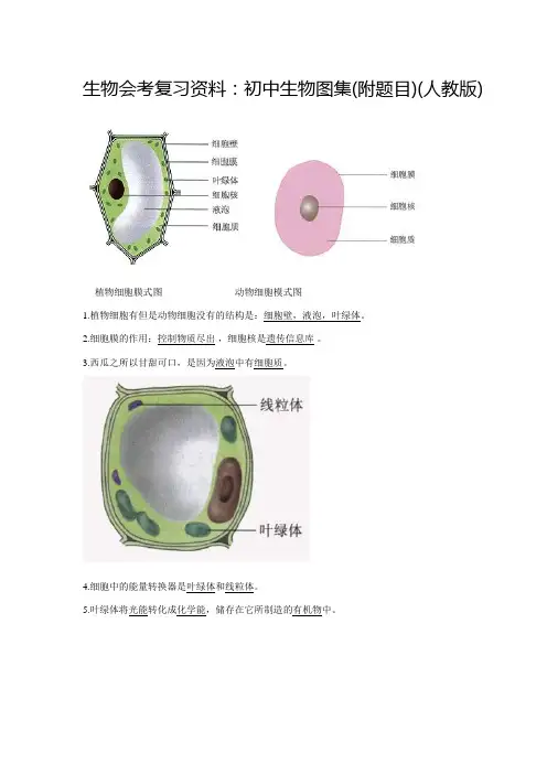 生物会考复习资料：初中生物图集(附题目)(人教版)