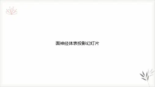 面神经体表投影PPT课件