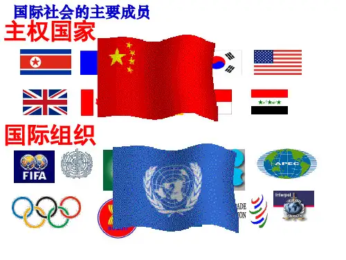 走进国际社会说课