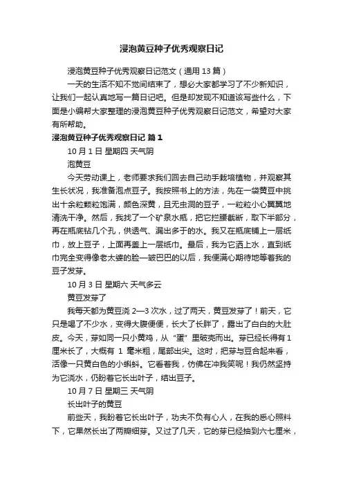 浸泡黄豆种子优秀观察日记